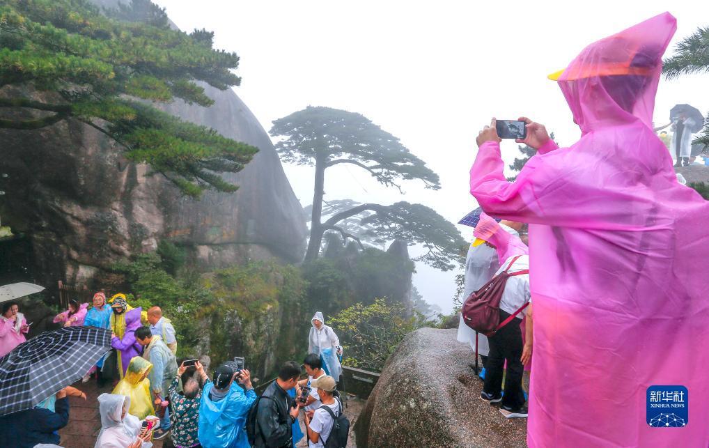 千炮打鲨鱼